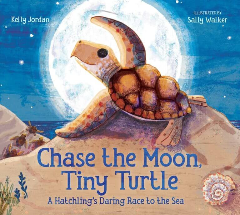 Chase the Moon, Tiny Turtle: Hatchling’s Sea Race Book Cover