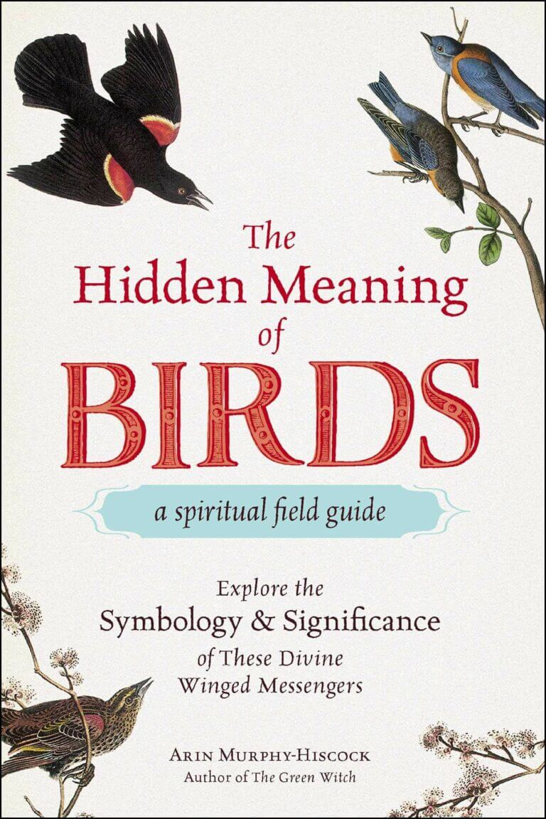 The Hidden Meaning of Birds by Arin Murphy-Hiscock Book Cover