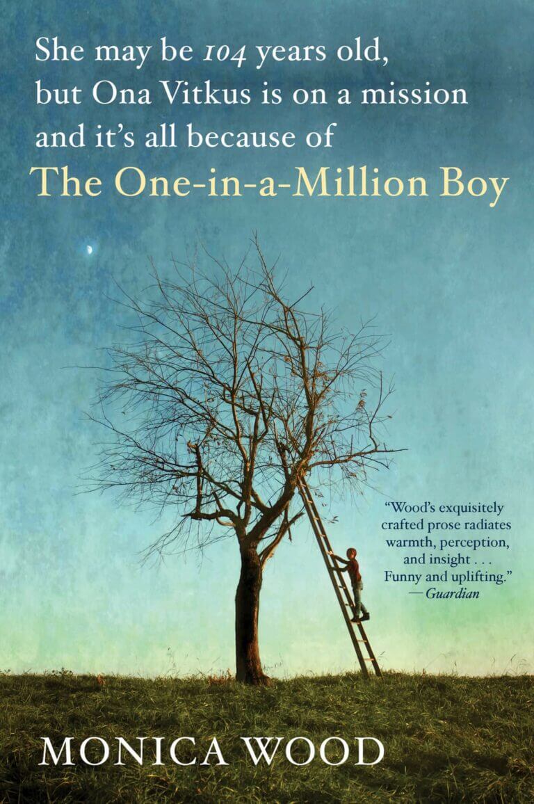 The One-in-a-Million Boy by Monica Wood Book Cover