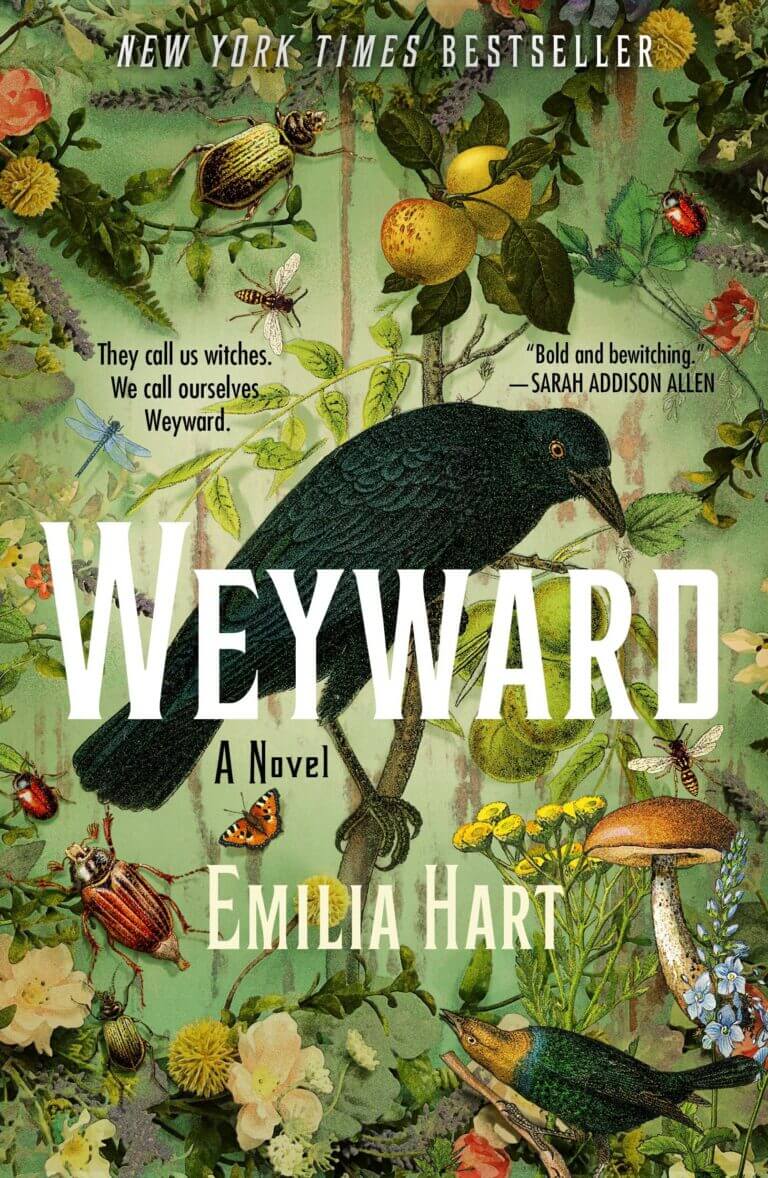 Weyward A Novel Book Cover